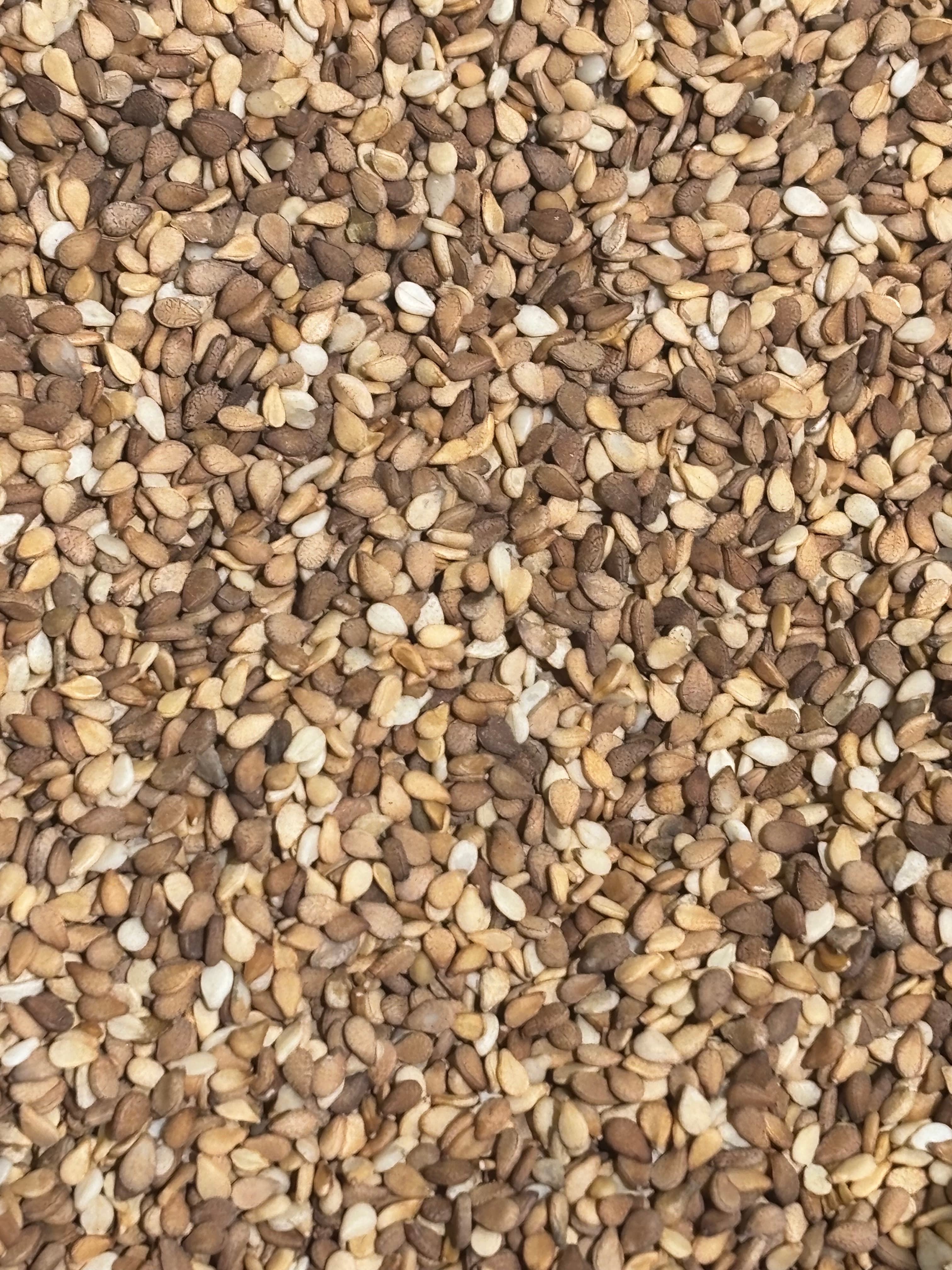 Doğal Kırmızı Susam | Yoğun Aromalı ve Çıtır Lezzet Kaynağı